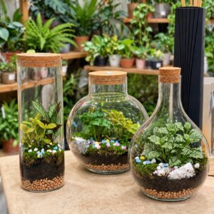 Terrario in vetro – Workshop creativo con Stefano Benincaso